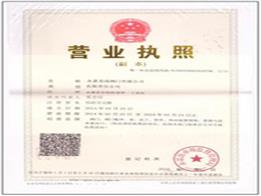 Busuiness License